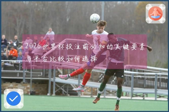 2026世界杯投注前必知的关键要素与平台比较如何选择