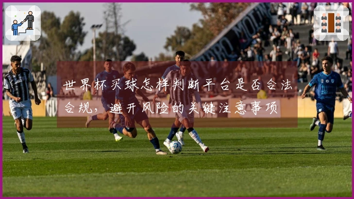 世界杯买球怎样判断平台是否合法合规，避开风险的关键注意事项