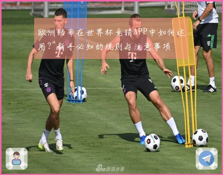 欧洲赔率在世界杯竞猜APP中如何运用？新手必知的规则与注意事项