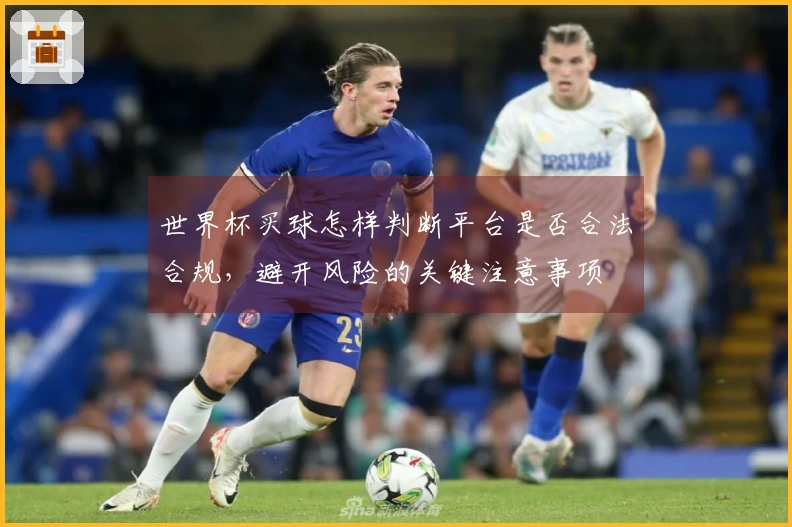 世界杯买球怎样判断平台是否合法合规，避开风险的关键注意事项